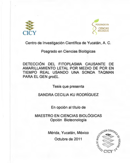 Centro De 1 Nvestigación Científica De Yucatán, A. C. Posgrado En
