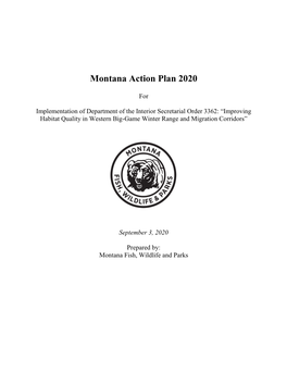 Montana Action Plan 2020