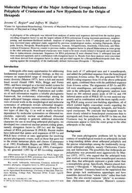 Molecular Phylogeny of the Major Arthropod Groups Indicates Polyphyly of Crustaceans and a New Hypothesis for the Origin of Hexapods