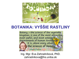 Botanika: Vyššie Rastliny