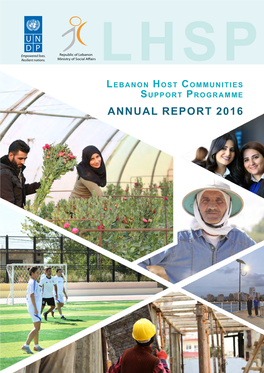 Annual Report 2016 Preface