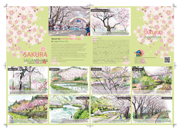 SAKURA Festival” Is Held Every Early April