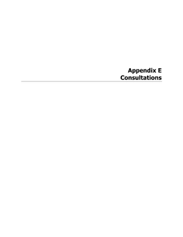 Appendix E Consultations