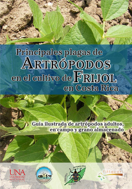 Frijol Artrópodos