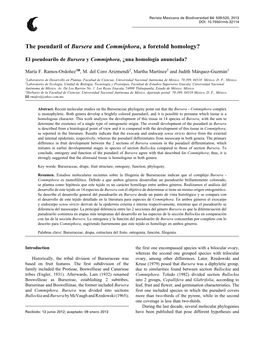 The Pseudaril of Bursera and Commiphora, a Foretold Homology?