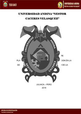 Universidad Andina “Nestor Caceres Velasquez”