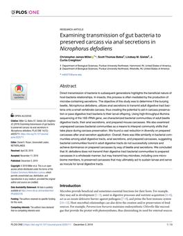 Examining Transmission of Gut Bacteria to Preserved Carcass Via Anal Secretions in Nicrophorus Defodiens