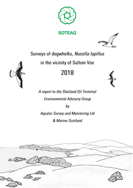 Surveys of Dogwhelks Nucella Lapillus in the Vicinity of Sullom Voe, Shetland, August 2018