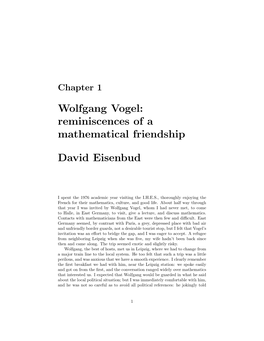 Wolfgang Vogel: Reminiscences of a Mathematical Friendship