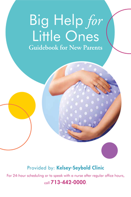 Big Help for Little Ones Guidebook for New Parents