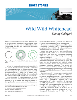 Wild Wild Whitehead Danny Calegari