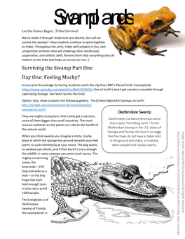 Surviving the Swamp Part One Day One: Feeling Mucky?