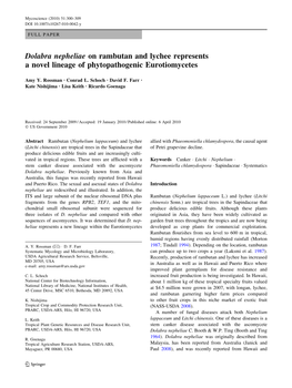 Dolabra Nepheliae on Rambutan and Lychee Represents a Novel Lineage of Phytopathogenic Eurotiomycetes
