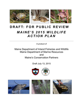 Maine's Wildlife Action Plan