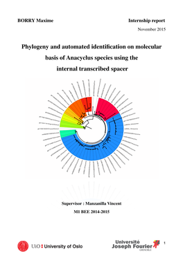 Phylogeny and Automated Identification on Molecular Basis Of