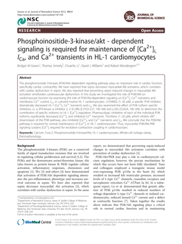 Phosphoinositide-3-Kinase/Akt