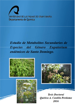 Estudio De Metabolitos Secundarios De Especies Del Género Eupatorium Endémicas De Santo Domingo