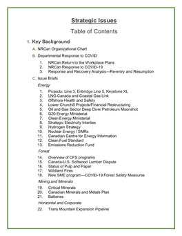 Strategic Issues Table of Contents