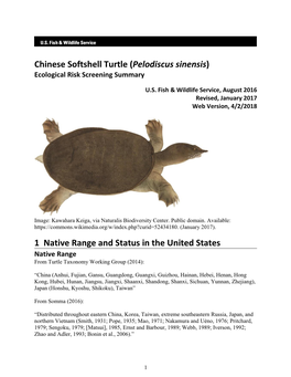 Chinese Softshell Turtle (Pelodiscus Sinensis) Ecological Risk Screening Summary