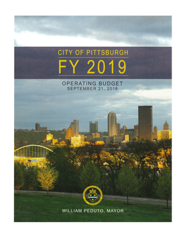 Operating Budget Fiscal Year 2019 Budget Guide