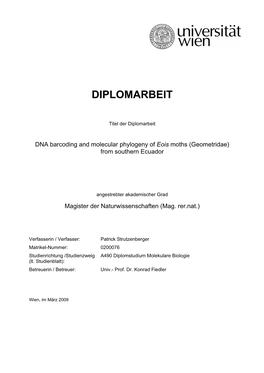 Diplomarbeit