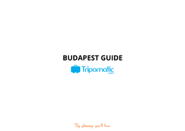 Budapest Guide Budapest Guide Money