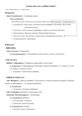 Systém Sinic a Řas („Nižších Rostlin“) Prokaryota Eukaryota RHIZARIA