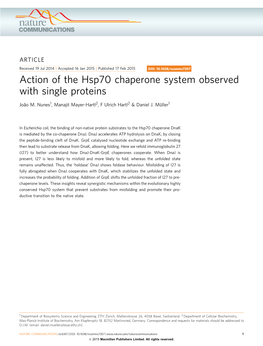 Action of the Hsp70 Chaperone System Observed with Single Proteins