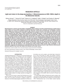 I. Bioluminescence at 500–1000 M Depth in the Bahamian Islands