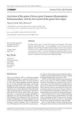 Hymenoptera, Ichneumonidae), with the First Record of the Genus from Japan