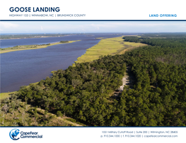Goose Landing Highway 133 | Winnabow, Nc | Brunswick County Land Offering