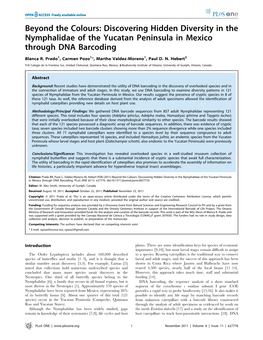 Discovering Hidden Diversity in the Nymphalidae of the Yucatan Peninsula in Mexico Through DNA Barcoding