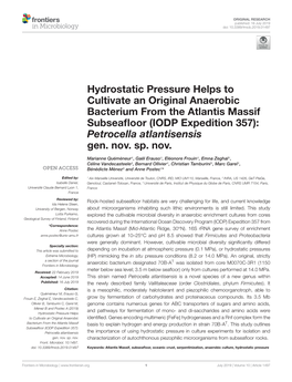 Hydrostatic Pressure Helps to Cultivate an Original Anaerobic Bacterium from the Atlantis Massif Subseaﬂoor (IODP Expedition 357): Petrocella Atlantisensis Gen