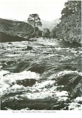 Fig. 12.R Glen Torridon, Wester Ross-Grazing Country. the LONG TREK: AGRICULTURAL CHANGE and the GREAT NORTHERN DROVE