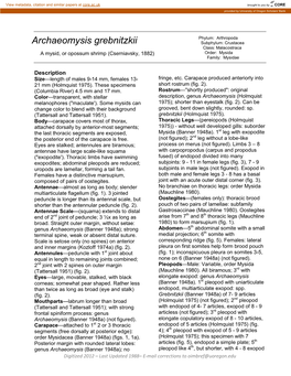 Archaeomysis Grebnitzkii Subphylum: Crustacea Class: Malacostraca Order: Mysida a Mysid, Or Opossum Shrimp (Cserniavsky, 1882) Family: Mysidae