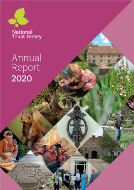 Annual Report 2020 a Difficult Year