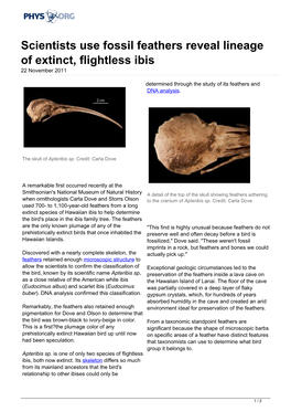 Scientists Use Fossil Feathers Reveal Lineage of Extinct, Flightless Ibis 22 November 2011