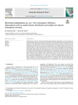 Mollusca, Aplacophora) with an Amphi-Atlantic Distribution and Insight Into Abyssal Solenogaster Diversity