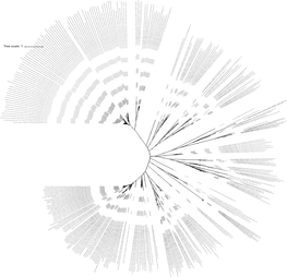 Tree Scale: 1 GCA 000219585 1 Asm21958v1 Protein AEJ02636 1 Methane Monooxygenase/Ammonia Monooxygenase Subunit a Nitrosomonas Sp Is79a3 /1-274