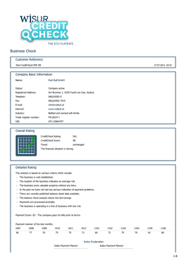 WISUR | Creditcheck | Red Bull Gmbh