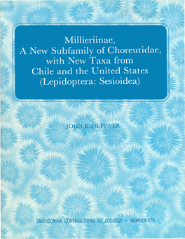 Millieriinae, a New Subfamily of Choreutidae, with New Taxa from Chile and the United States (Lepidoptera: Sesioidea)