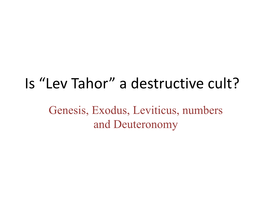 Is “Lev Tahor” a Destructive Cult?