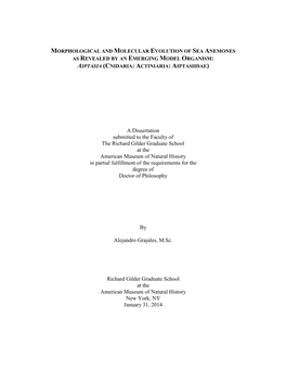 A Dissertation Submitted to the Faculty of the Richard Gilder Graduate