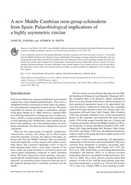 A New Middle Cambrian Stem-Group