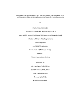 Mechanistic Study of Fragile Site Instability by Investigating Ret/Ptc Rearrangements, a Common Cause of Papillary Thyroid Carcinoma