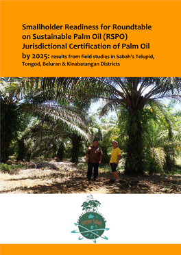 A Report on Smallholders' Readiness for RSPO Certification