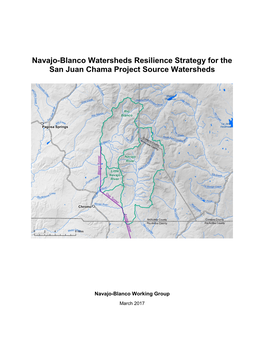 Navajo-Blanco Watersheds Resilience Strategy for the San Juan Chama Project Source Watersheds