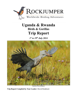 Uganda & Rwanda Trip Report