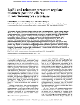 In Saccharomyces Cerevisiae