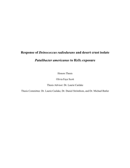 Response of Deinococcus Radiodurans and Desert Crust Isolate